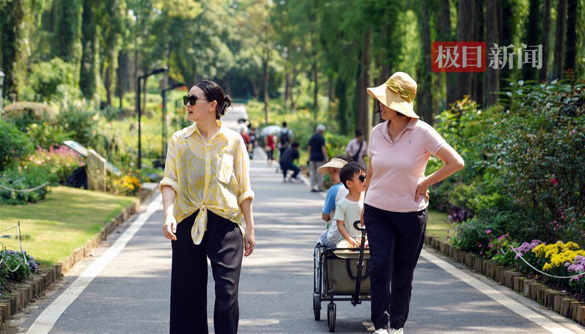银娱优越会线路